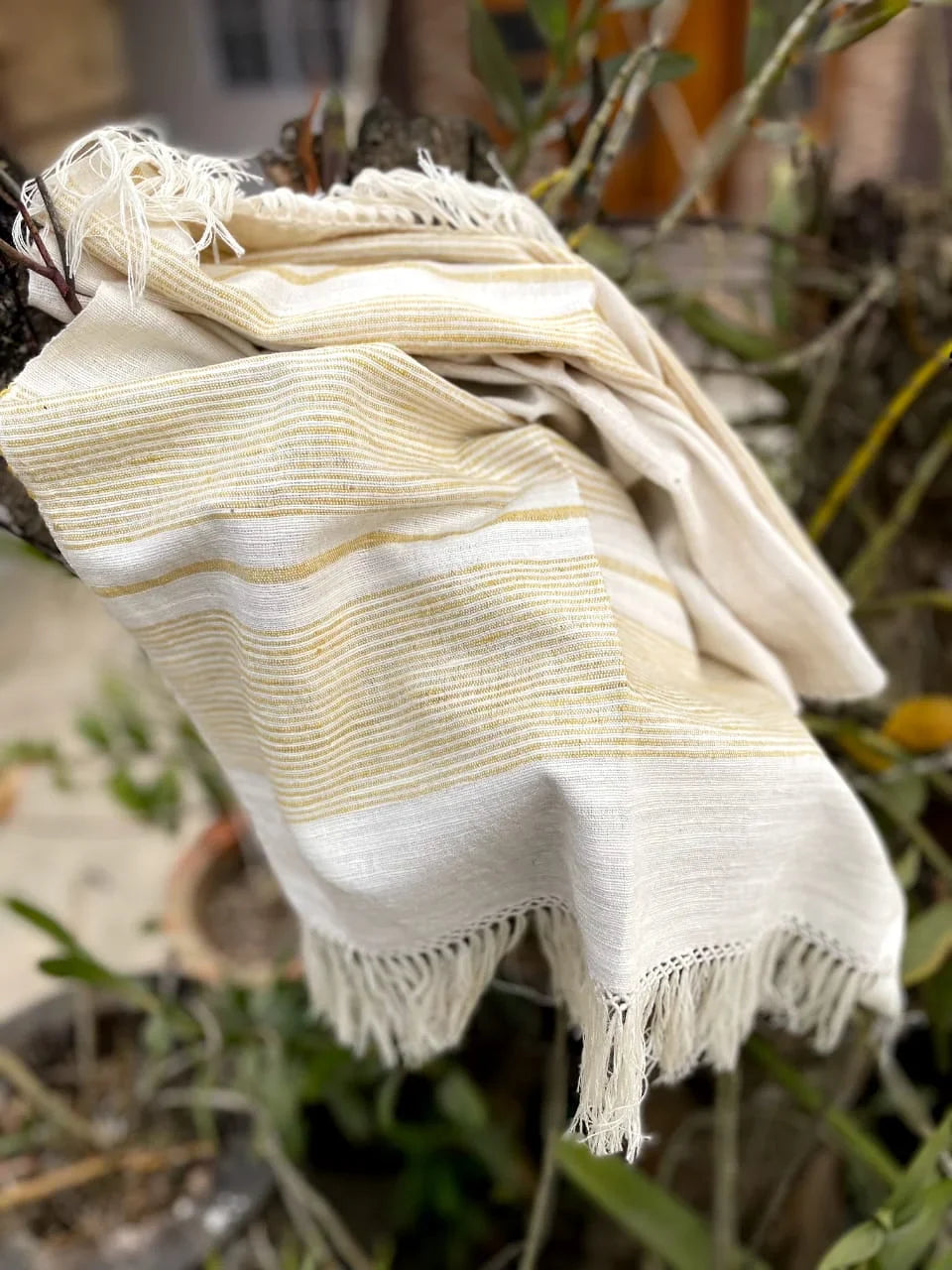 Eri Muffler Offwhite With Yellow Stripe