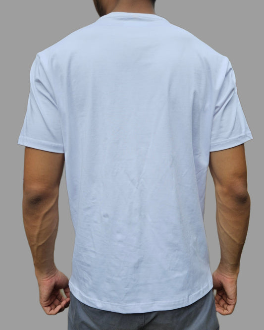 Male T shirt combo Combo Of 2